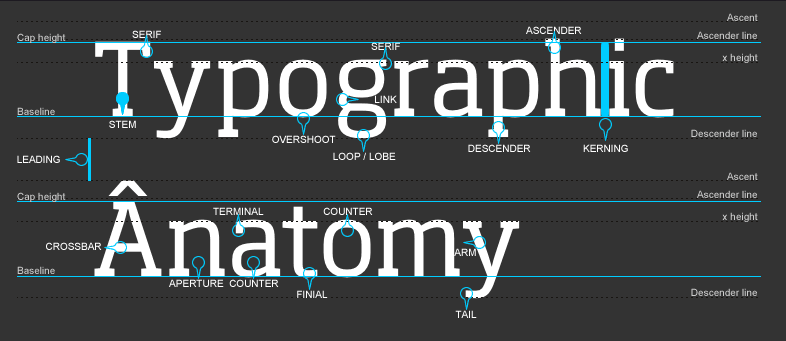 An illustration of type anatomy